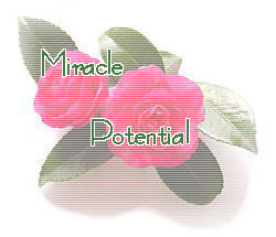 Miracle Potential